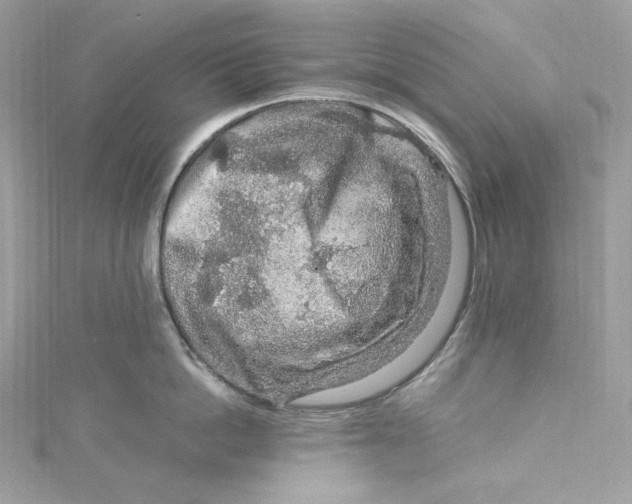 X0000115060862200911161607