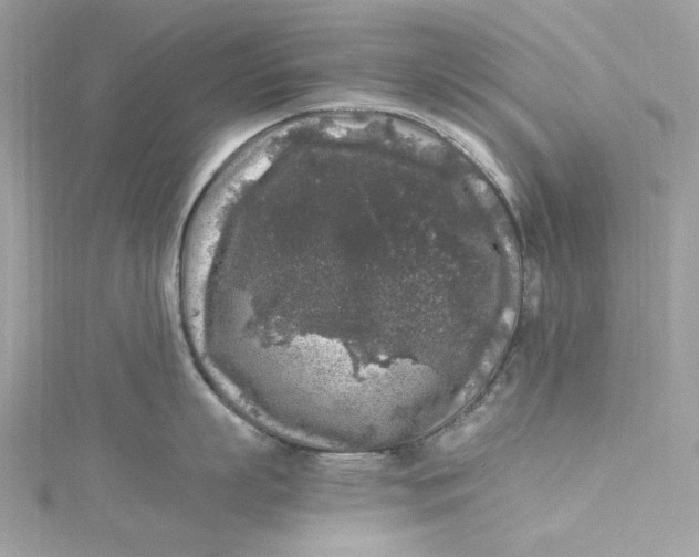 X0000115060863200911161607