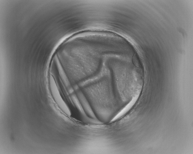 X0000115060864200911161607