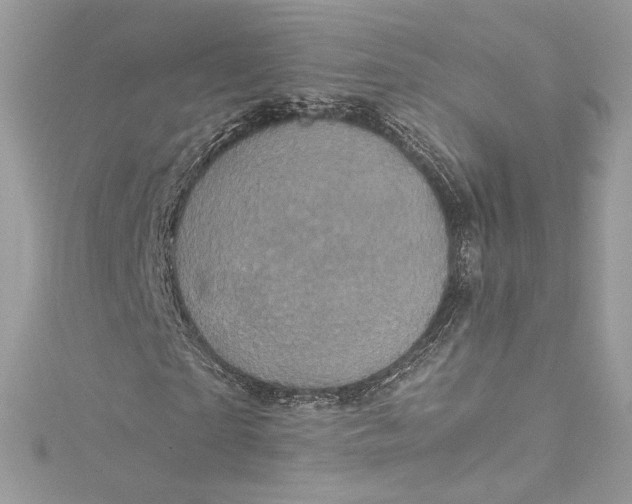 X0000115060865200911161606