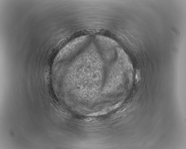 X0000115060867200911161606