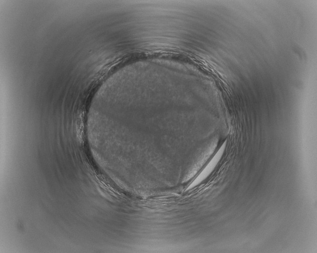 X0000115060868200911161606