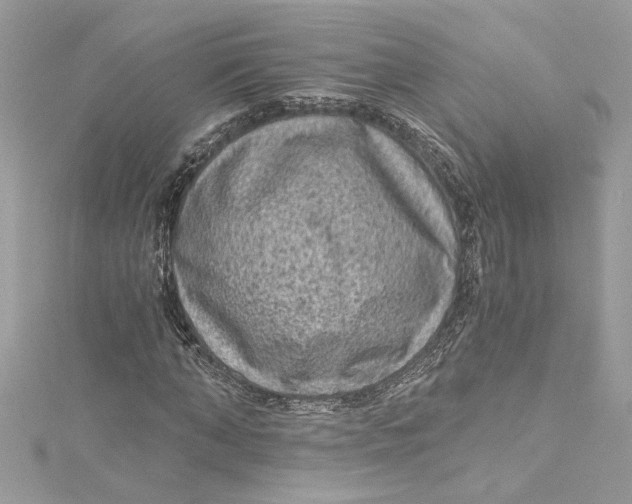 X0000115060870200911161606