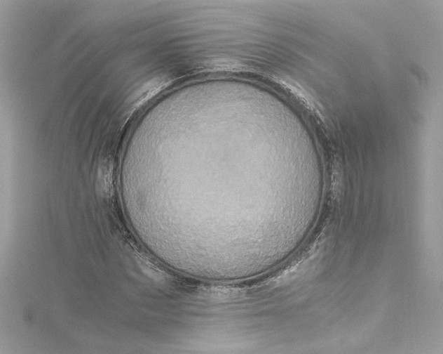 X0000115060873200911161606