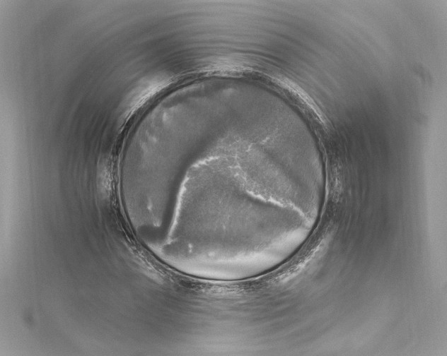 X0000115060874200911161606