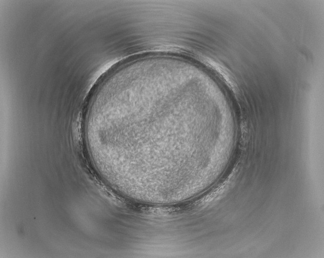 X0000115060875200911161606