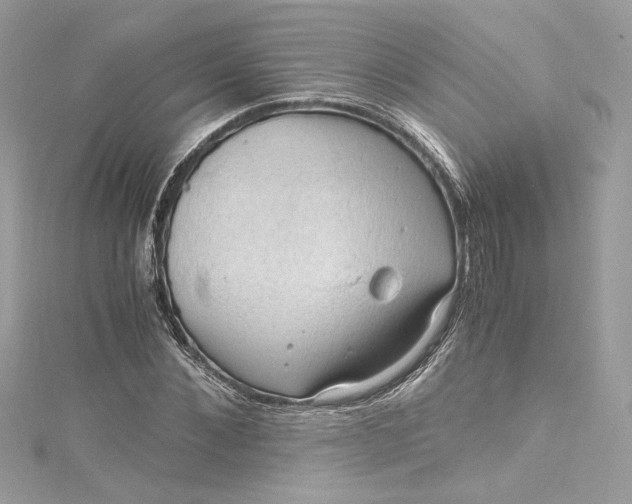 X0000115060876200911161606