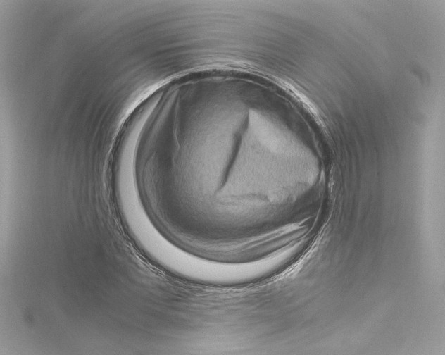 X0000115060877200911161606