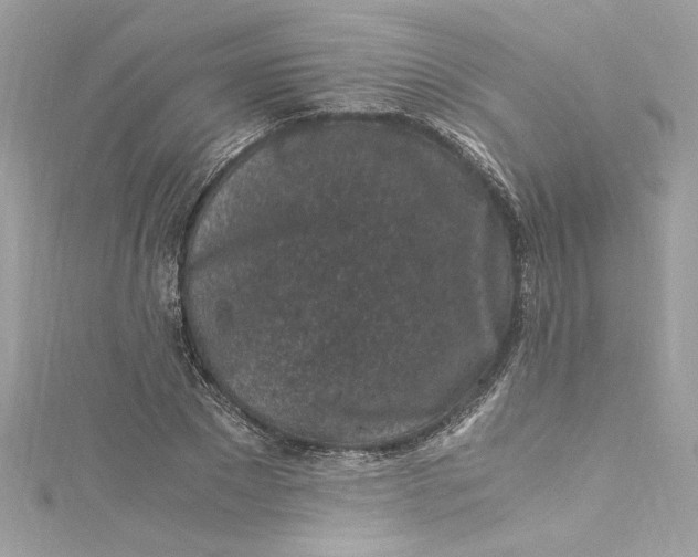 X0000115060881200911161606