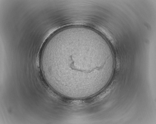 X0000115060883200911161606