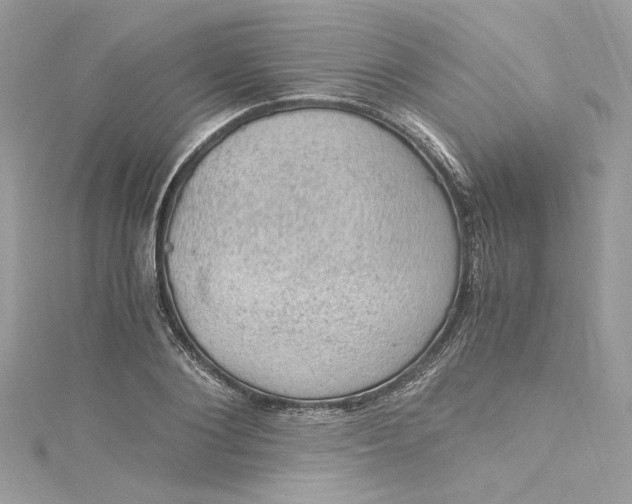 X0000115060884200911161606