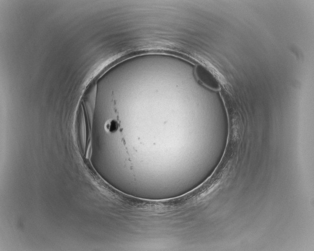 X0000115060885200911161606