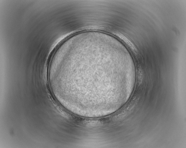 X0000115060886200911161606