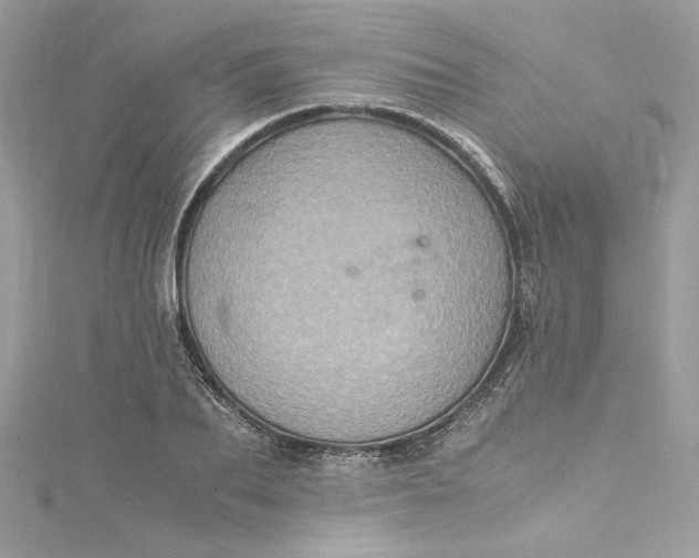 X0000115060887200911161606