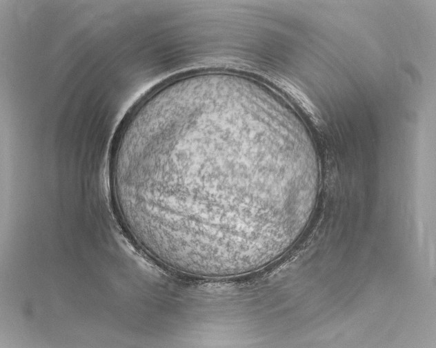 X0000115060888200911161606