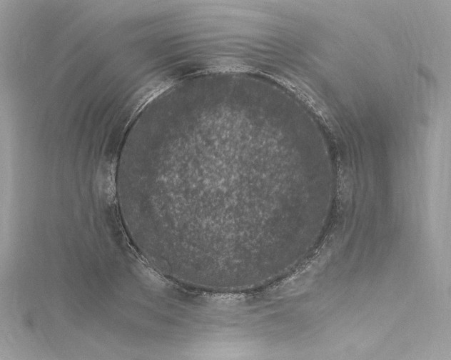 X0000115060889200911161606