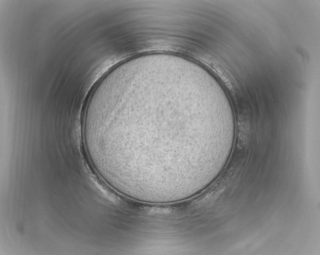 X0000115060890200911161606