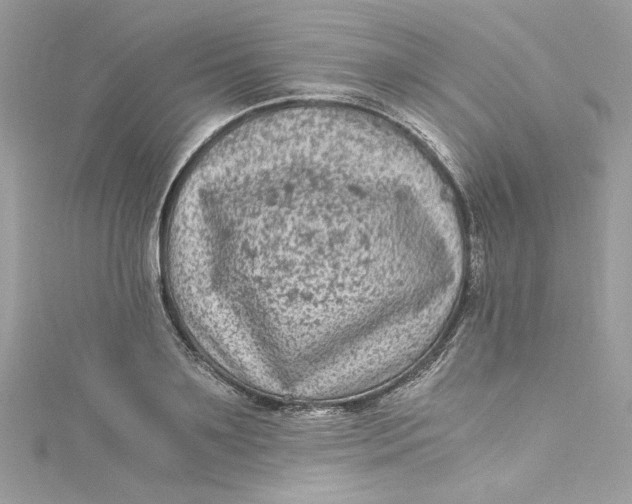 X0000115060891200911161606