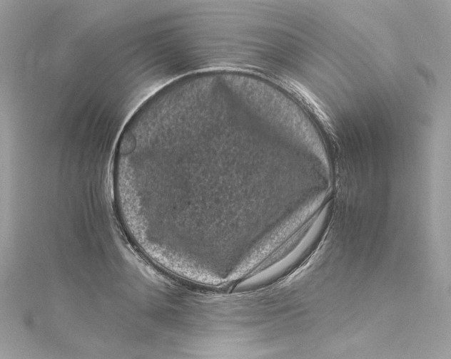 X0000115060892200911161606