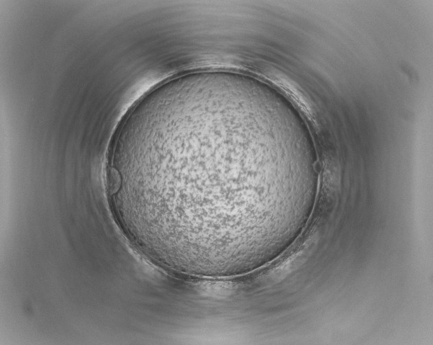 X0000115060893200911161606