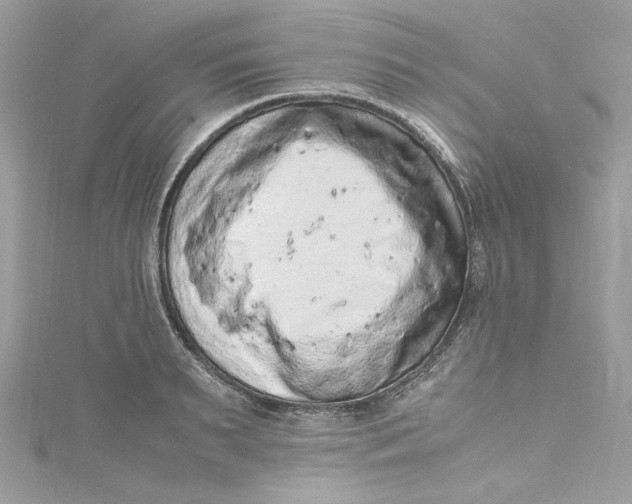 X0000115060895200911161606