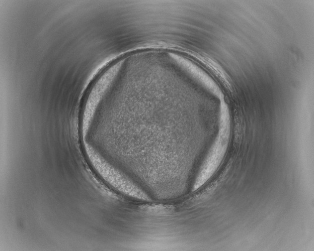 X0000115060896200911161606