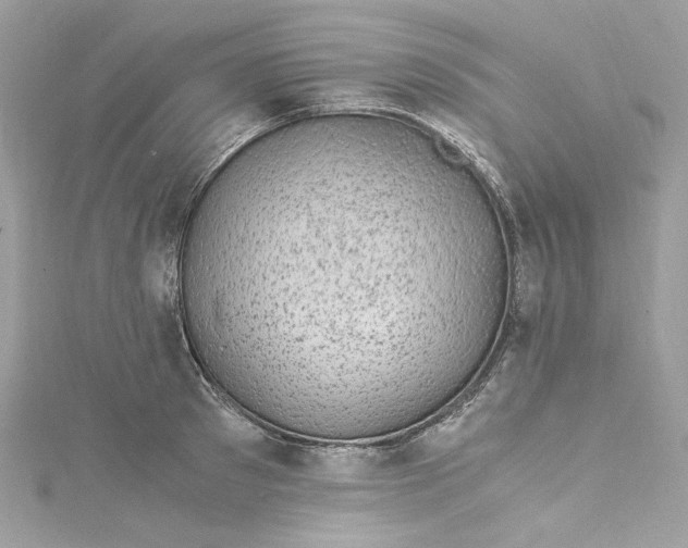 X0000115060897200911161606