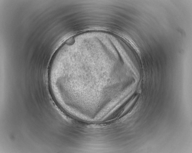 X0000115060898200911161606