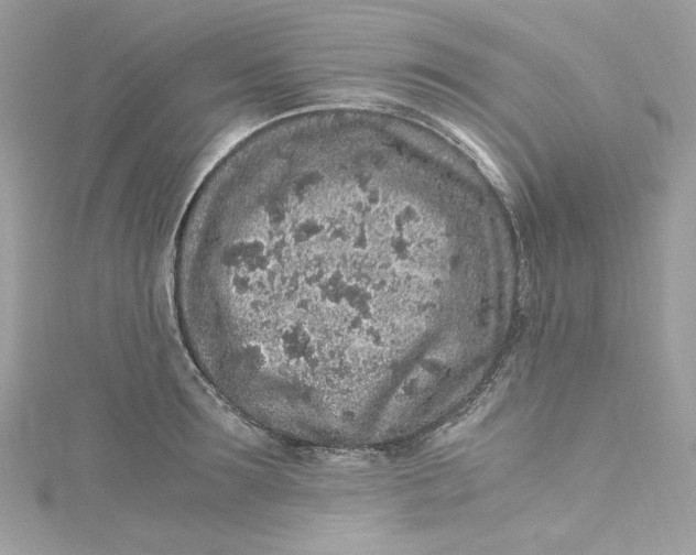 X0000115060899200911161606