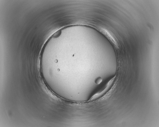 X0000115060900200911161606