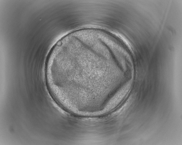 X0000115060902200911161606