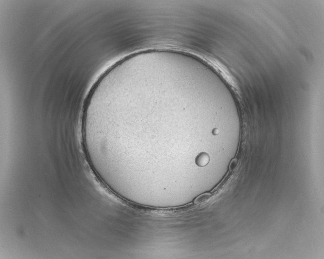 X0000115060904200911161606