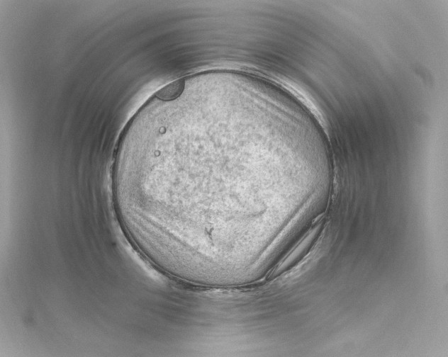 X0000115060906200911161606