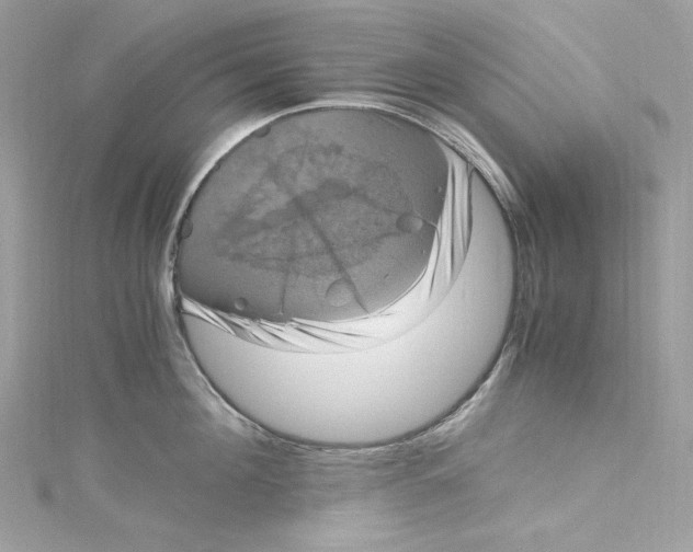 X0000115060908200911161606