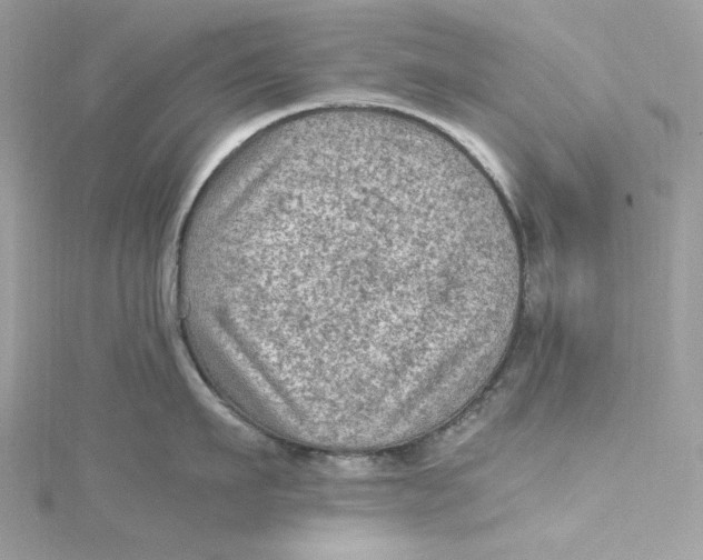 X0000115060911200911161606