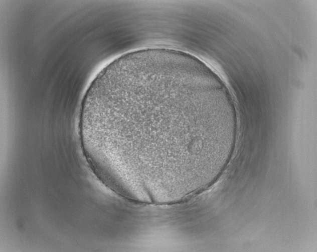 X0000115060912200911161606