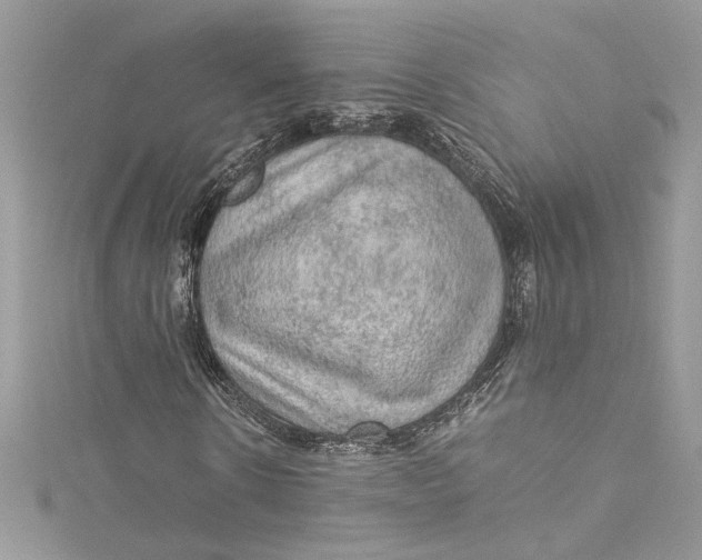 X0000115060914200911161605