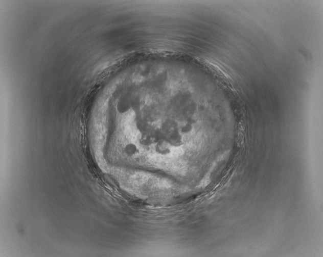 X0000115060917200911161605