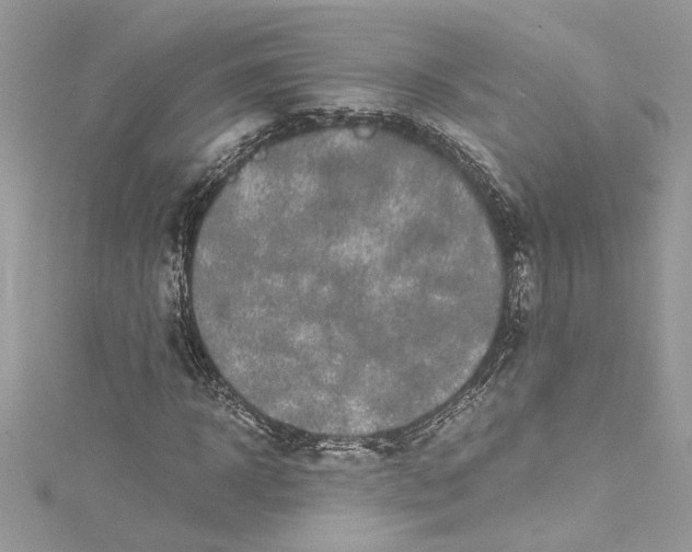 X0000115060918200911161605