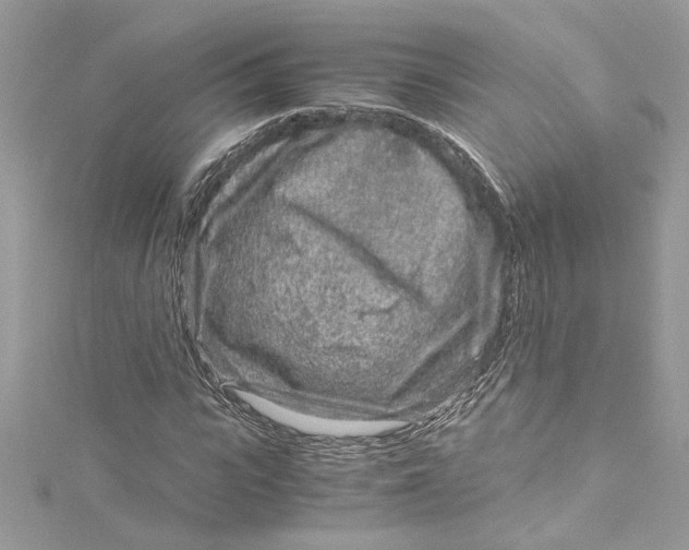 X0000115060919200911161605