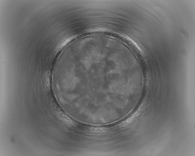 X0000115060921200911161605