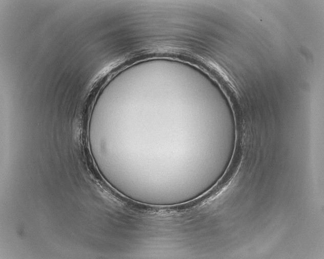 X0000115060922200911161605