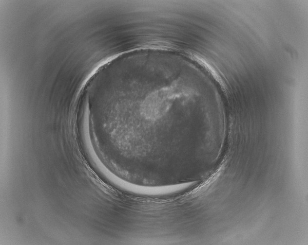 X0000115060923200911161605