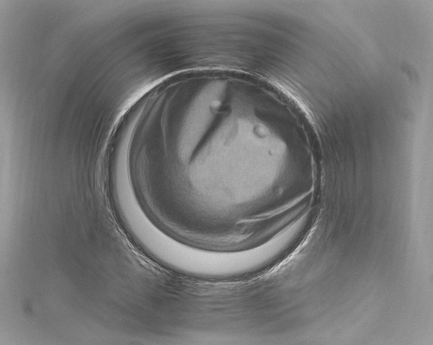 X0000115060925200911161605