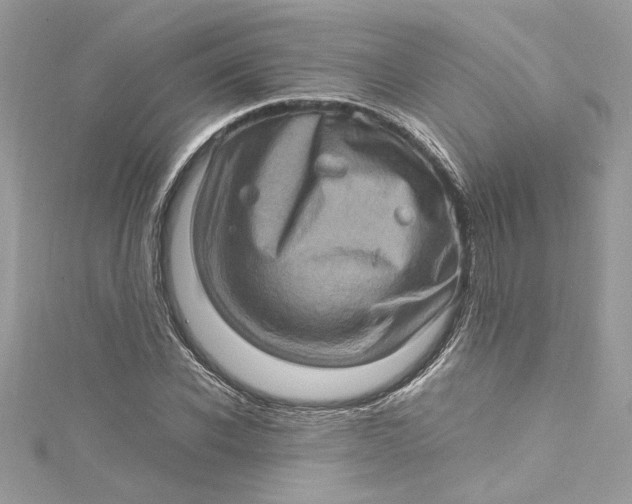 X0000115060926200911161605