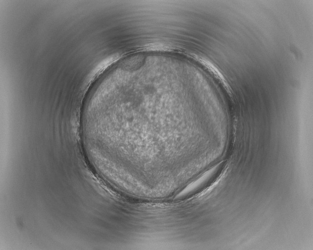 X0000115060930200911161605