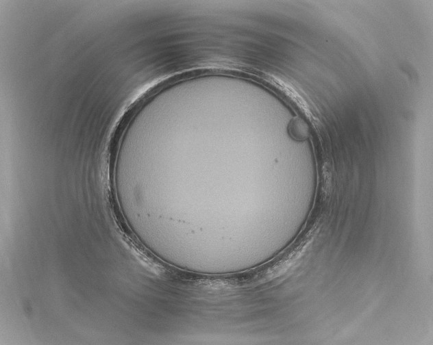 X0000115060931200911161605