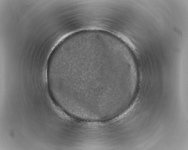 X0000115060934200911161605