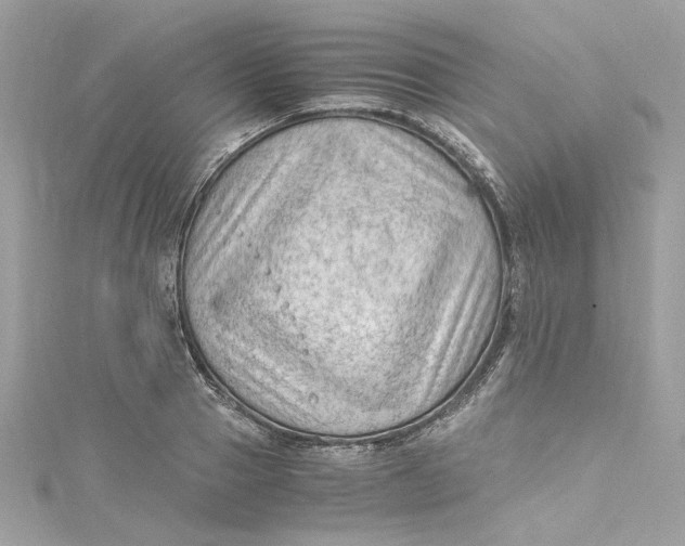 X0000115060937200911161605