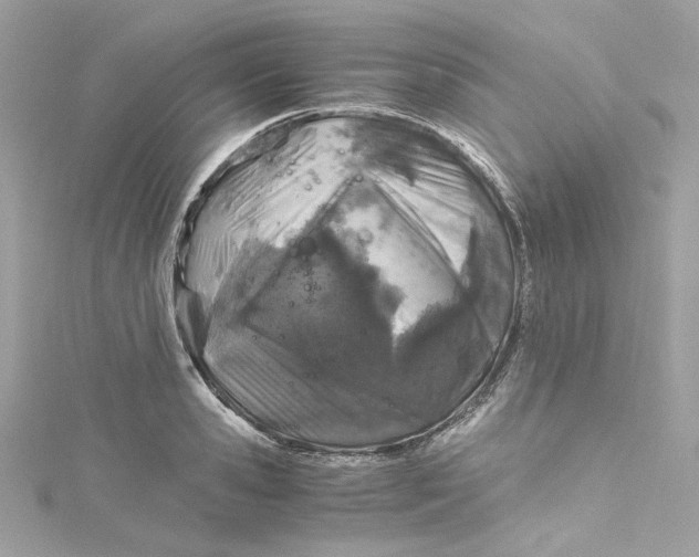 X0000115060941200911161606